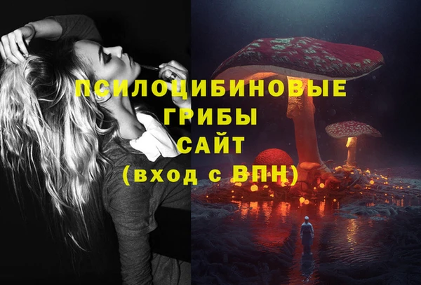 прущая мука Корсаков