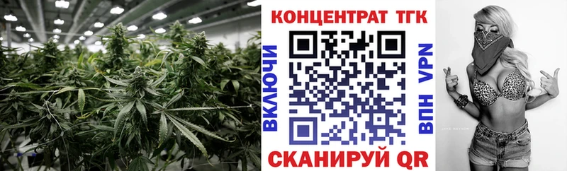 Купить где  Курчатов  Дистиллят ТГК гашишное масло 